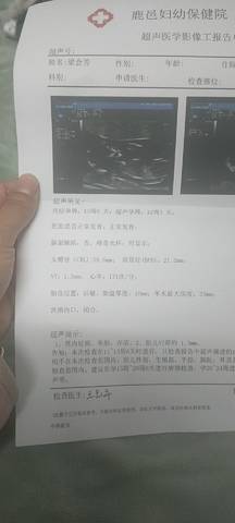 journal_insert_pic_1674297141