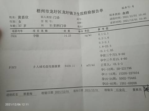 journal_insert_pic_1674738002