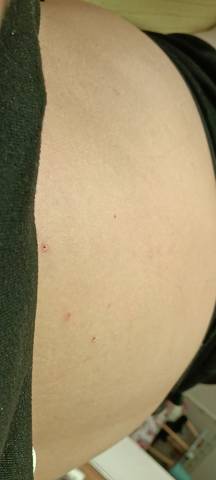 journal_insert_pic_1682473684