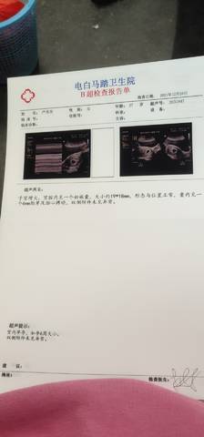 journal_insert_pic_1687834626