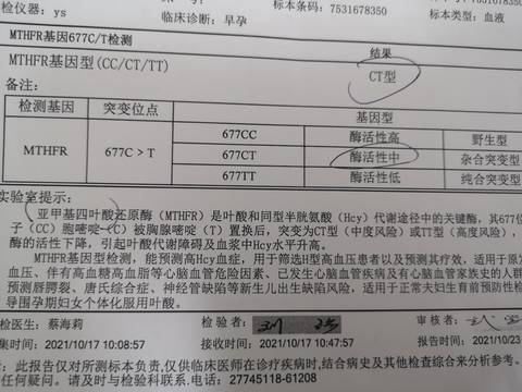 journal_insert_pic_1690311056