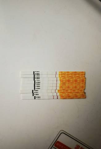 journal_insert_pic_1686680909