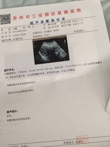 journal_insert_pic_1719442868