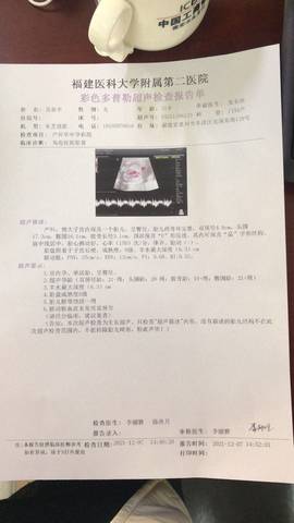 journal_insert_pic_1675518652