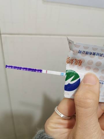 journal_insert_pic_1689145137