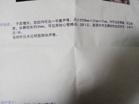 journal_insert_pic_1681606938