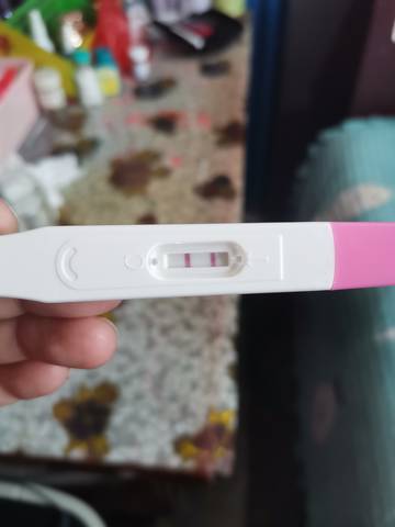 journal_insert_pic_1681356110