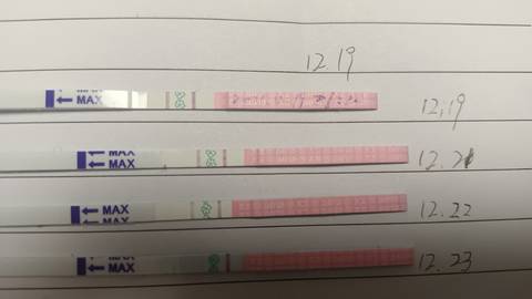 journal_insert_pic_1684987890