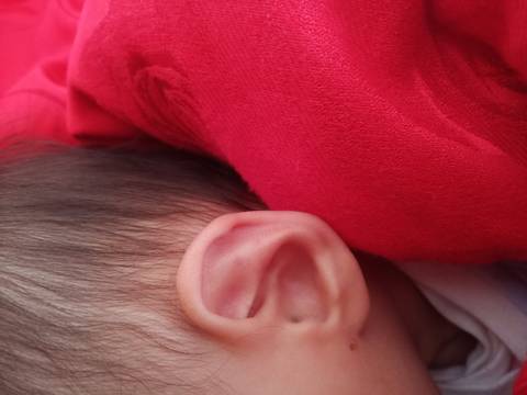 journal_insert_pic_1676251251