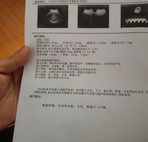 journal_insert_pic_1688527059