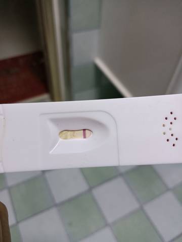 journal_insert_pic_1675264091