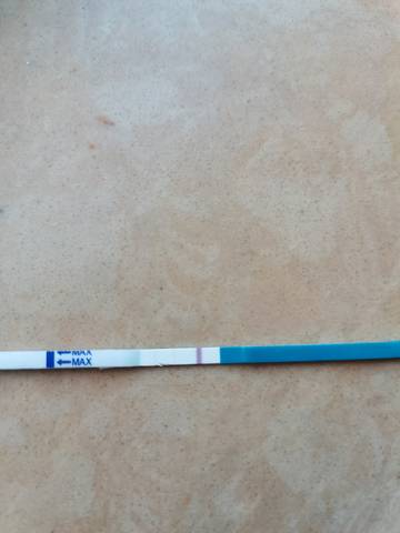 journal_insert_pic_1688378924