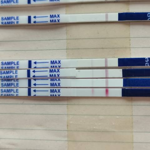 journal_insert_pic_1685153337