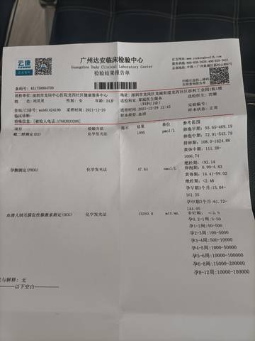 journal_insert_pic_1689022150