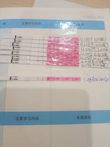 journal_insert_pic_1687599241