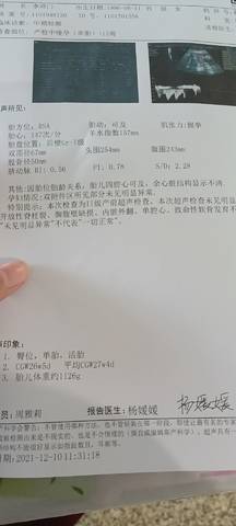 journal_insert_pic_1681572329