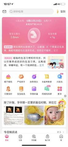 journal_insert_pic_1740827214