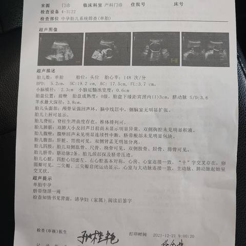 journal_insert_pic_1683475193