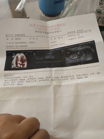 journal_insert_pic_1690046627