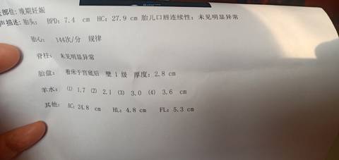 journal_insert_pic_1674750055