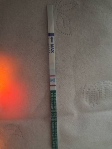 journal_insert_pic_1682574436