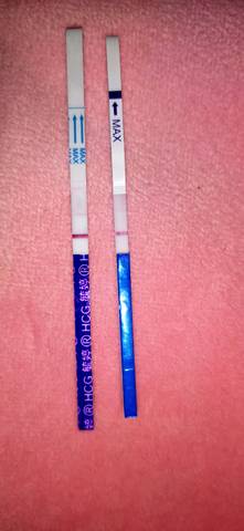 journal_insert_pic_1680122542