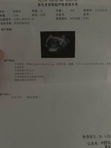 journal_insert_pic_1682050216