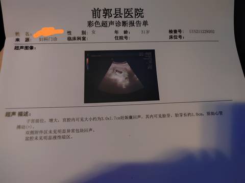 journal_insert_pic_1688460382