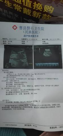 journal_insert_pic_1679870249