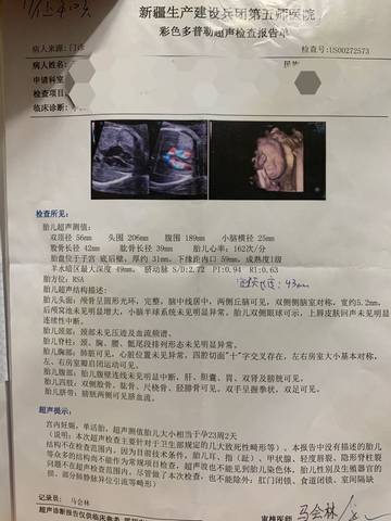 journal_insert_pic_1687471589