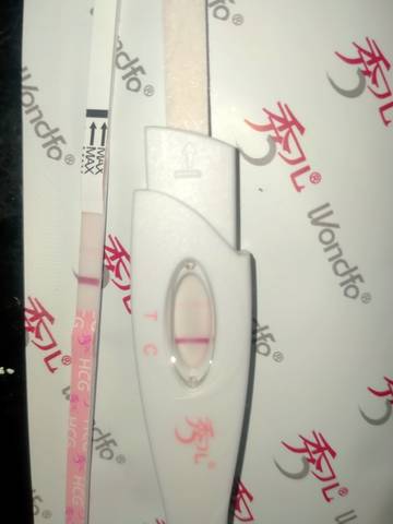 journal_insert_pic_1675865781