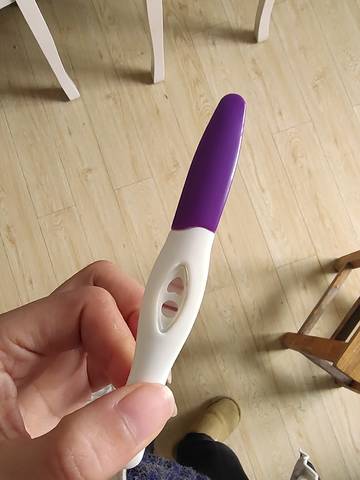 journal_insert_pic_1690045586