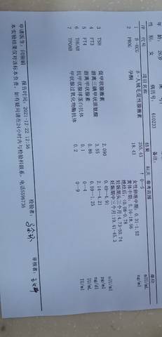 journal_insert_pic_1684308338