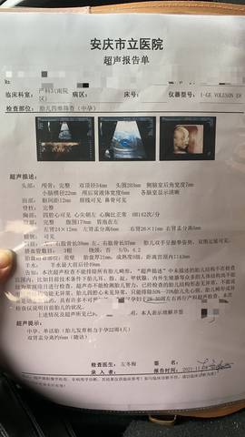journal_insert_pic_1684248980