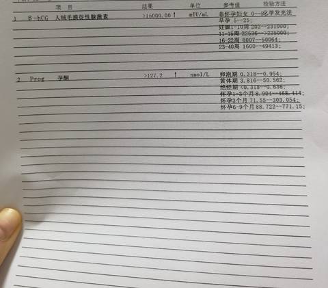 journal_insert_pic_1682055538