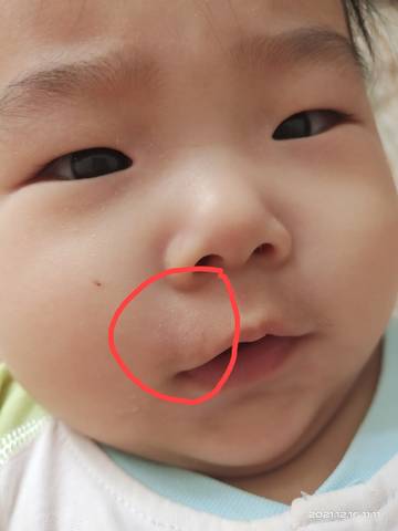 journal_insert_pic_1680976635