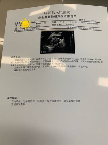 journal_insert_pic_1683992930