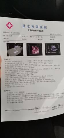 journal_insert_pic_1685419433