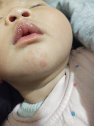 journal_insert_pic_1686668525