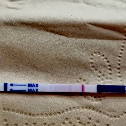 journal_insert_pic_1684896950