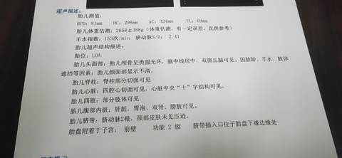 journal_insert_pic_1677510484