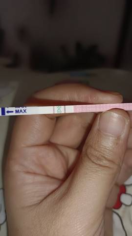 journal_insert_pic_1682743182