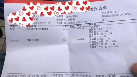 journal_insert_pic_1688424350