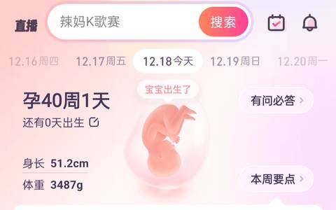 journal_insert_pic_1682169104