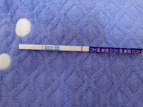 journal_insert_pic_1674924524