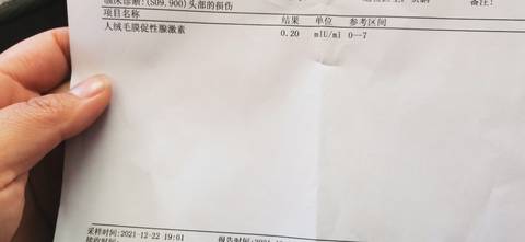 journal_insert_pic_1685747201