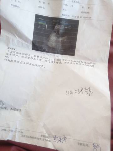journal_insert_pic_1686962941