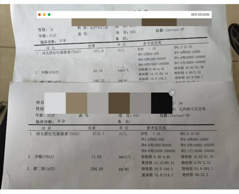journal_insert_pic_1684237302