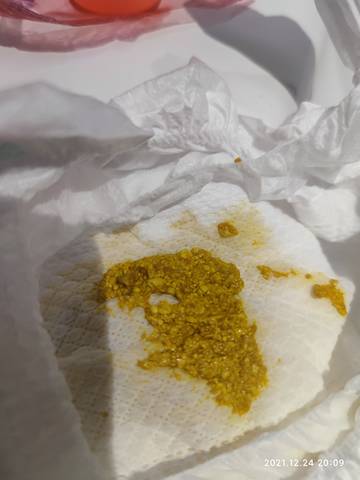 journal_insert_pic_1687528728