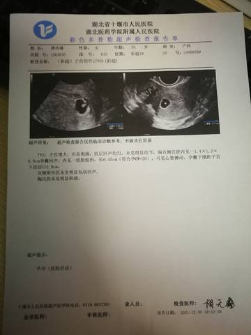 journal_insert_pic_1689605645